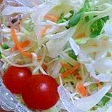 何でもかんでも千切り★野菜たっぷりサラダ